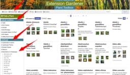 "Low Maintenance" Plant? - Gardening | NC State Extension
