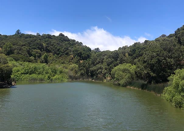 7 Best Picnic Spots in San Mateo County | The SFP