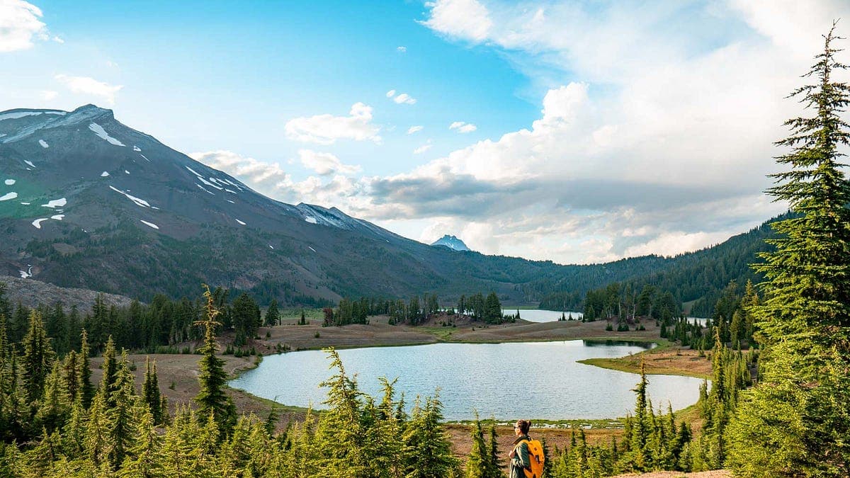Forest Service to Remove Your Voice from Public Lands Decisions