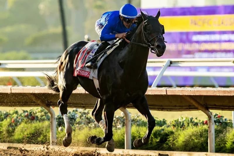 Generational showdown looms in Breeders' Cup Classic