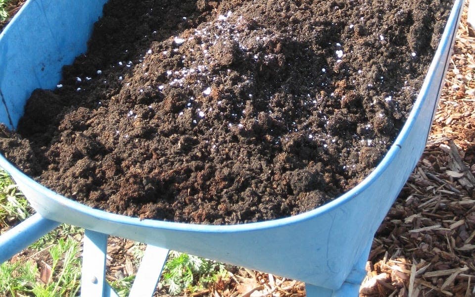 More Heat-Beating Garden Tips - by Fred Hoffman