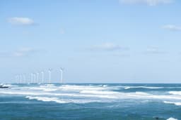 Sylvia Ascher: Misplaced fears? What the evidence reveals of the ecological effects of tidal power generation – The Applied Ecologist