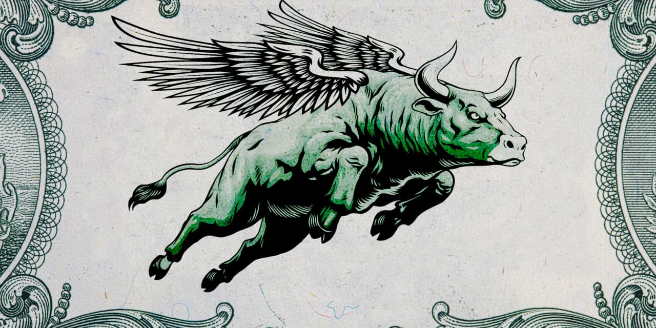The U.S. stock market is becoming ‘too big to fail’ - MarketWatch