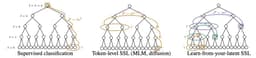 @ylecun reposted: LLMs learn by predicting tokens. World models (JEPA, data2vec) learn by predicti...