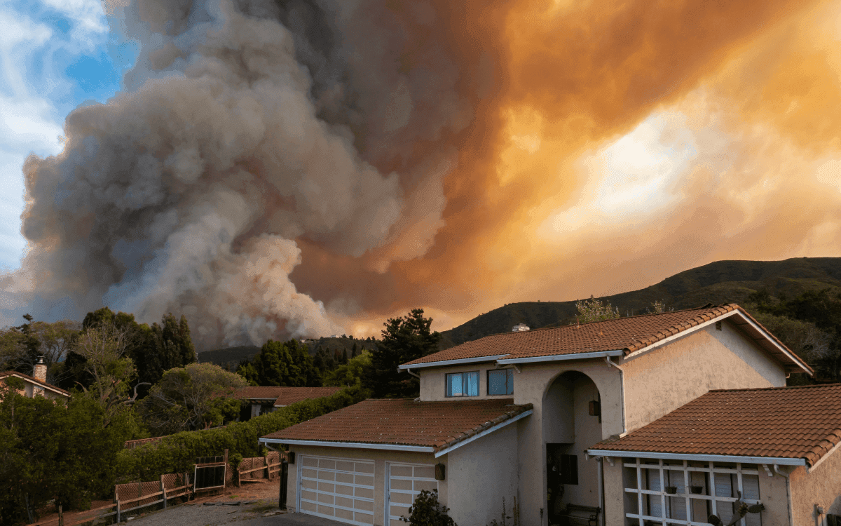 How to Stay Connected to the Internet in a Wildfire ...