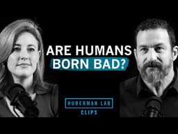 How Genes Impact Your Moral Decision Making | Dr. Kathryn Paige Harden & Dr. Andrew Huberman
