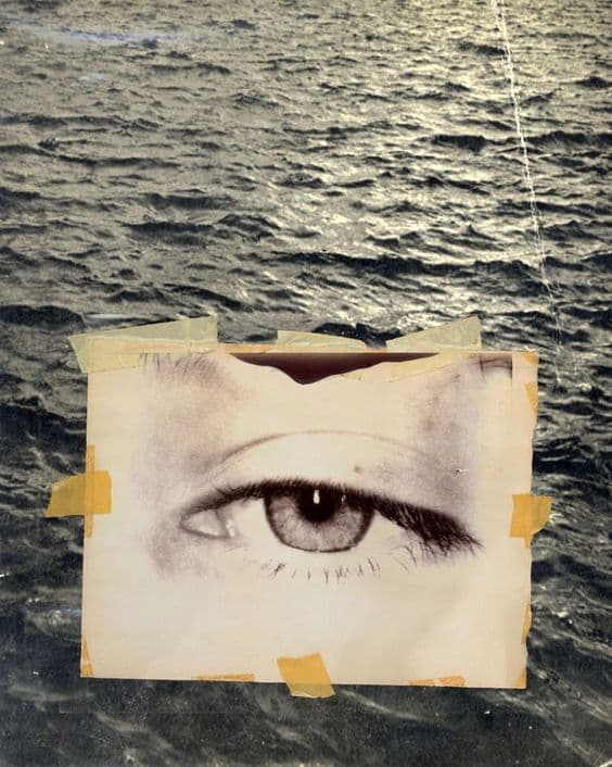 Neptune: The Lies We Tell Ourselves to Keep Going
