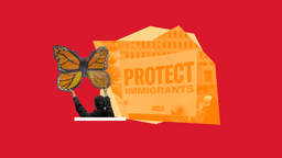 PROTECT Act