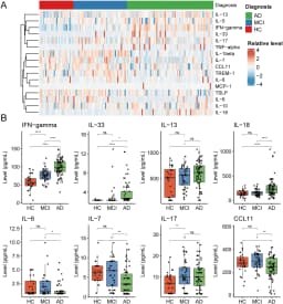 Blood inflammation marker may help detect Alzheimer’s disease earlier | Immunopaedia Immunopaedia