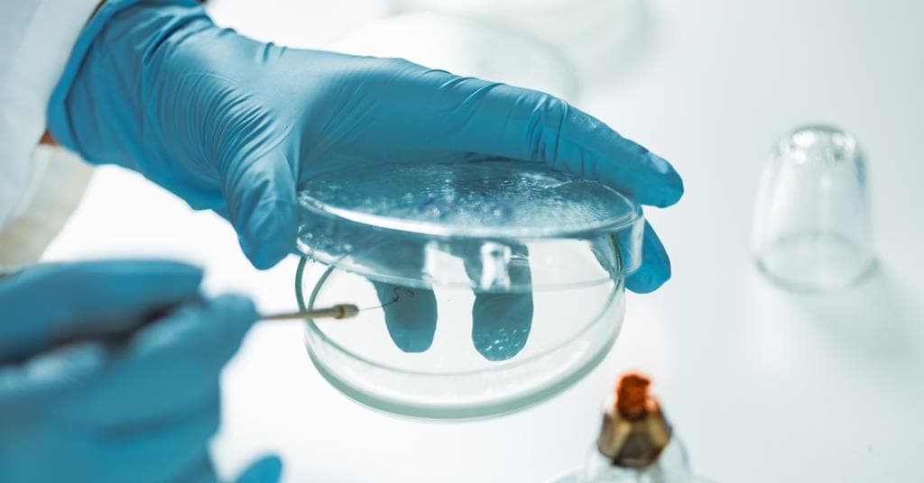 Novltex: new antibiotic targets antimicrobial resistance