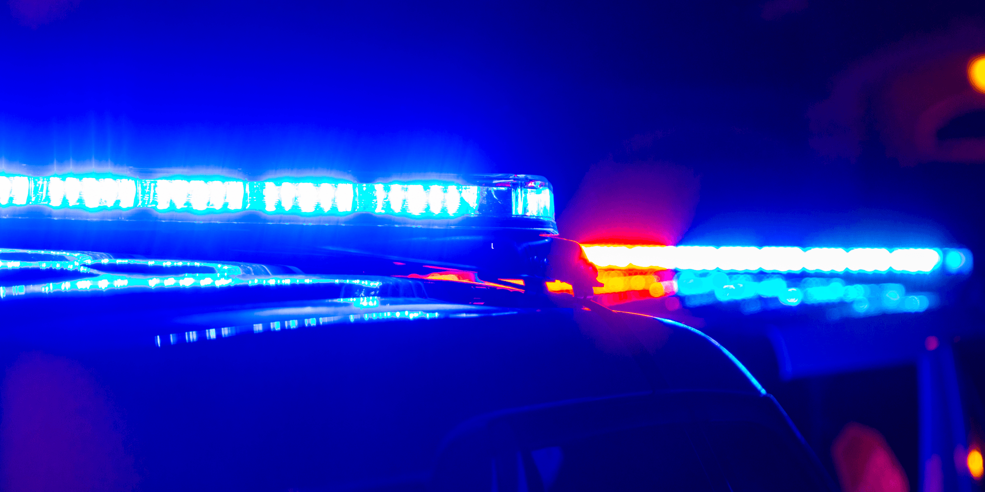 Two people arrested following large drug bust in North Carolina