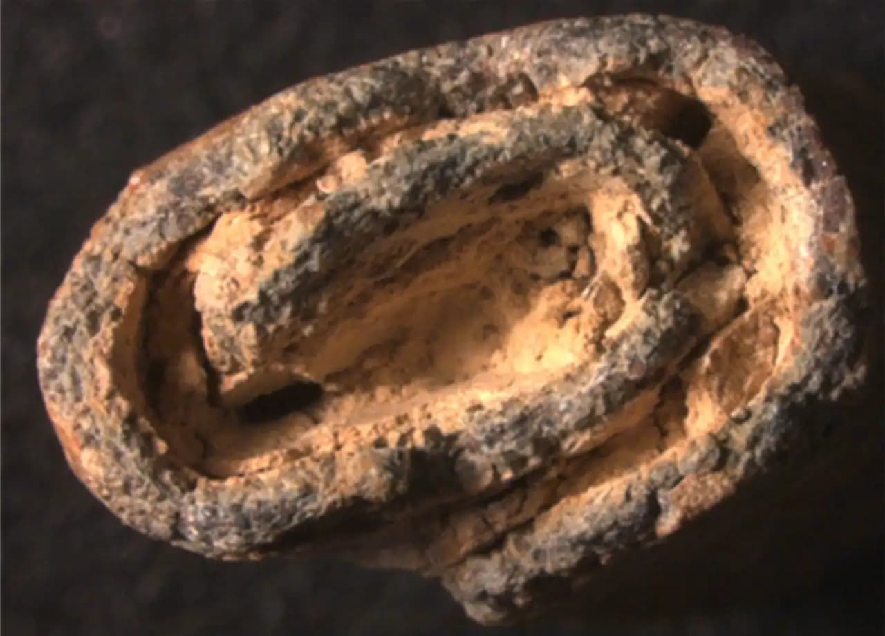 Roman Lead Weights Discovered in Ancient Mellaria Reveal the ...