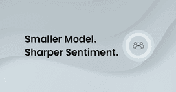 Small Language Model Fine-Tuning for Sentiment Analysis ...