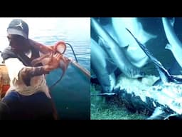 Why Deep Sea Predators Swapped the Octopus 'Grip' for Shark 'Shredding'