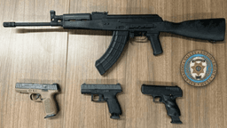 Battle Creek trio arrested on gun, stolen property charges during Kalamazoo 'X-Train'