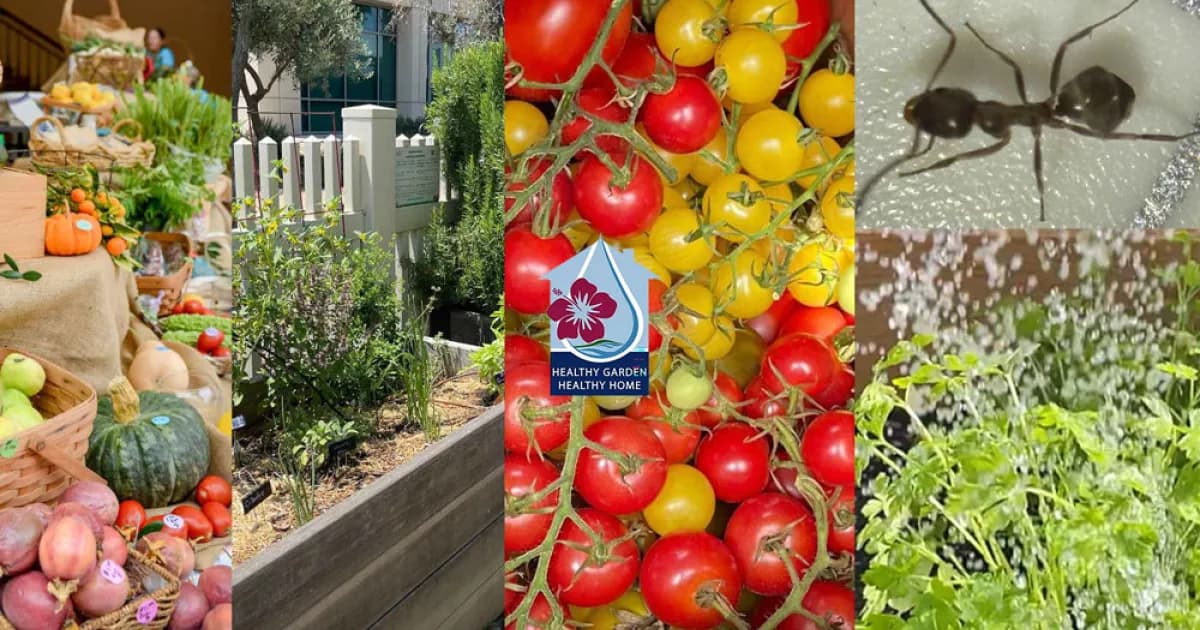 Introduction to Gardening - Healthy Garden-Healthy Home
