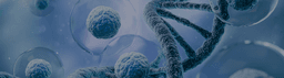 Orphan Diseases & NAD+: A Hidden Biological Link