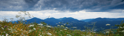 A Cloudy Rates Outlook Heading into Summer