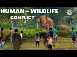 Human-Wildlife Conflict Explained || UPSC 