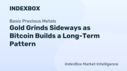 Gold Grinds Sideways as Bitcoin Builds a Long-Term Pattern