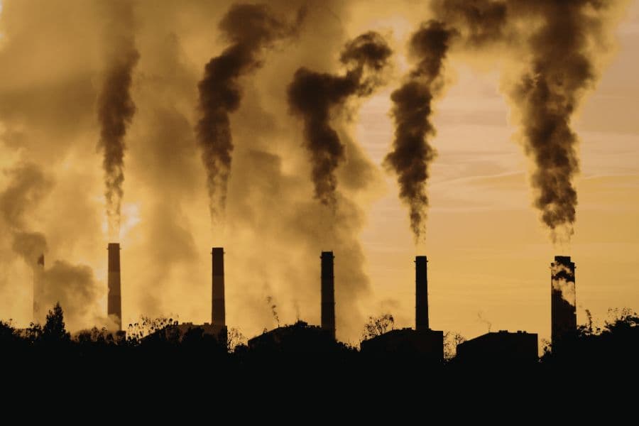 Why climate health research matters more than ever under new federal stance | UC Berkeley Public Health