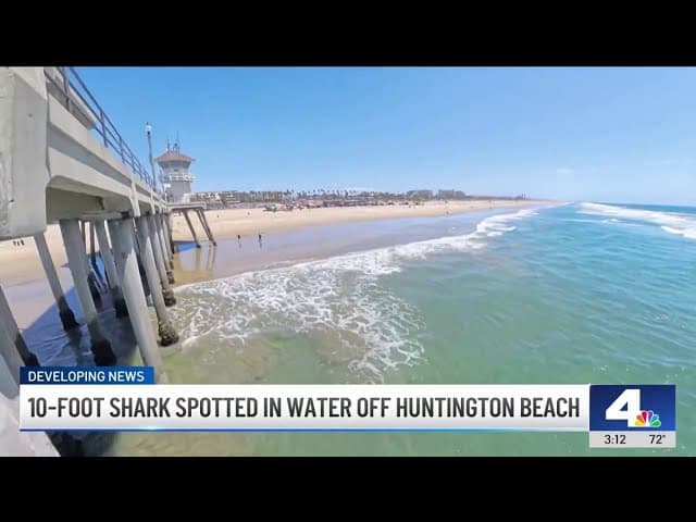 ****Mendocino/NorCal bites + Monterey possible attack + Farallones GW season acoustic tags — SoCal GW surge + Pismo Beach drone juvs + Huntington surf contest shutdown 4/24 + El Niño forecast + Lulu’s Law + Hermosa juv pier haul + Manhattan Beach drone + Newport wrangle/encounters + CA juv aggregation + San Onofre sightings + SoCal swarms + CA diver encounter + Oceanside Pier alert + Stinson seal + San Diego nursery shift/empty/heatwave + Gauna Santa Monica drone + sharky summer warn + San Diego predict + Katie Wilson NorCal + baby GW north study + SoCal piers anglers risks** [developing]** [developing]