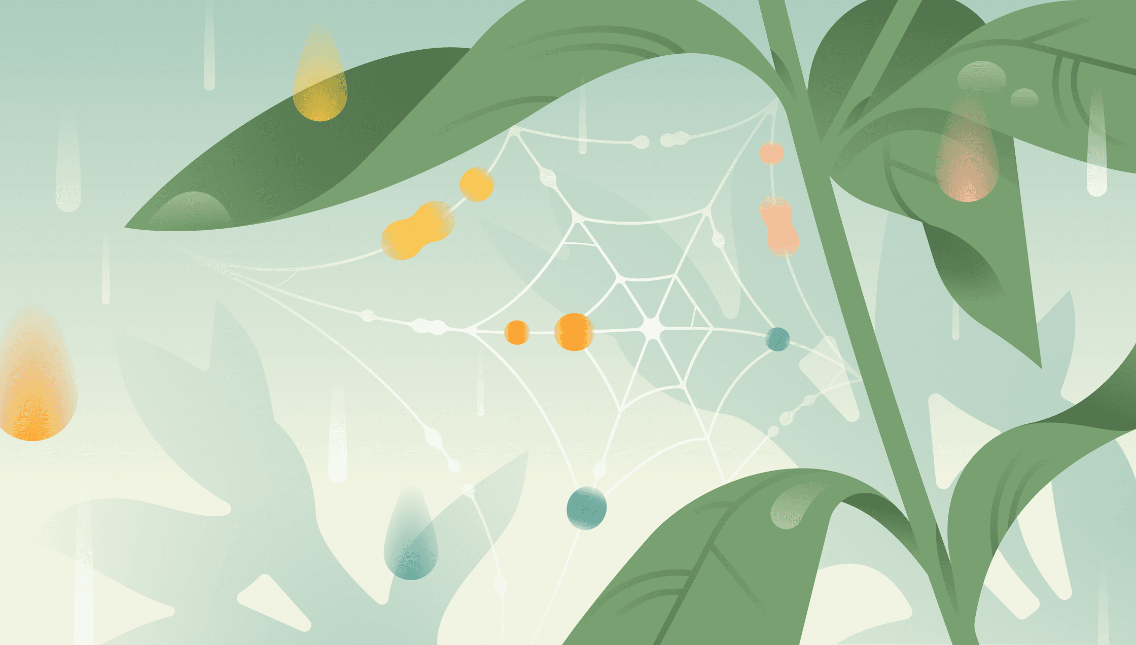 Zettelkasten: How to Turn Notes into Knowledge That ...