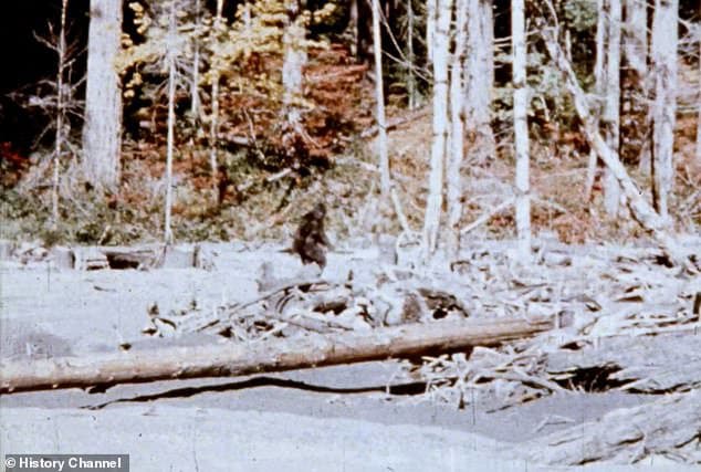 Truth about most famous Bigfoot footage ever is finally revealed as new wave of reports floods Ohio