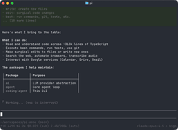 pi-claude-marketplace · Packages