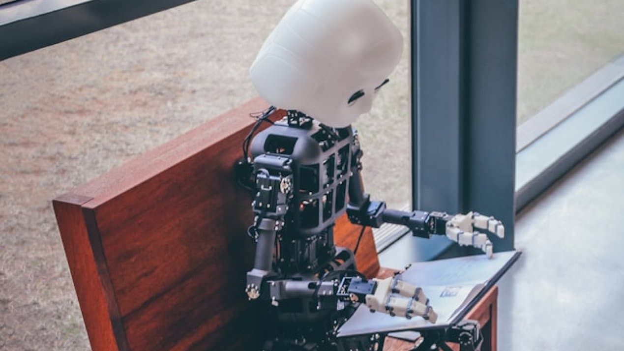 AI Adoption and Workforce Displacement