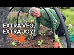 More food, more security | Real life gardening in the veg garden