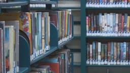Massachusetts bill aims to create process for banning ...