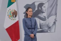 17 Mexican nationals have died in ICE custody or ...