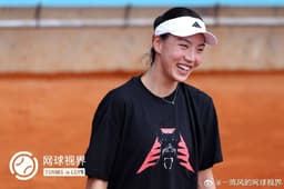 中国选手王欣瑜在红土赛季面临的主要挑战和备战重点是什么？|澳网|训练|逆转|鲁昂|资格赛_新浪新闻