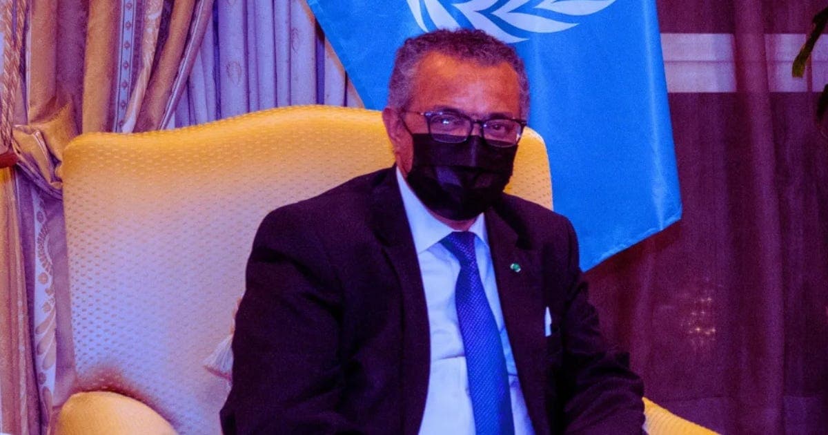 WHO Convenes Global Session to Dictate How the Coming Influenza Pandemic Will Be Run