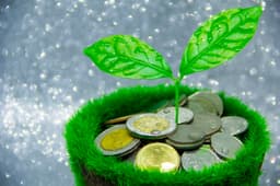 Value Stocks: The Cash-Flow Case for a Continuing ...