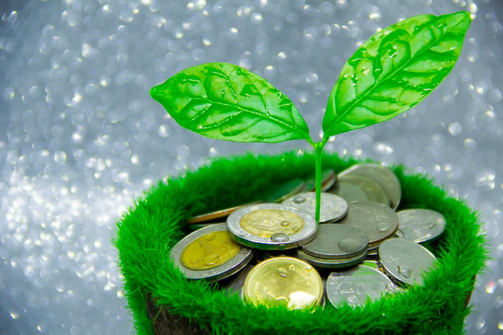 Value Stocks: The Cash-Flow Case for a Continuing ...