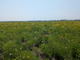 Public prairie walk explores Goshen wellfield site restoration