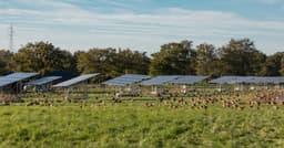 Utility-scale renewable energy is creating a new rural asset