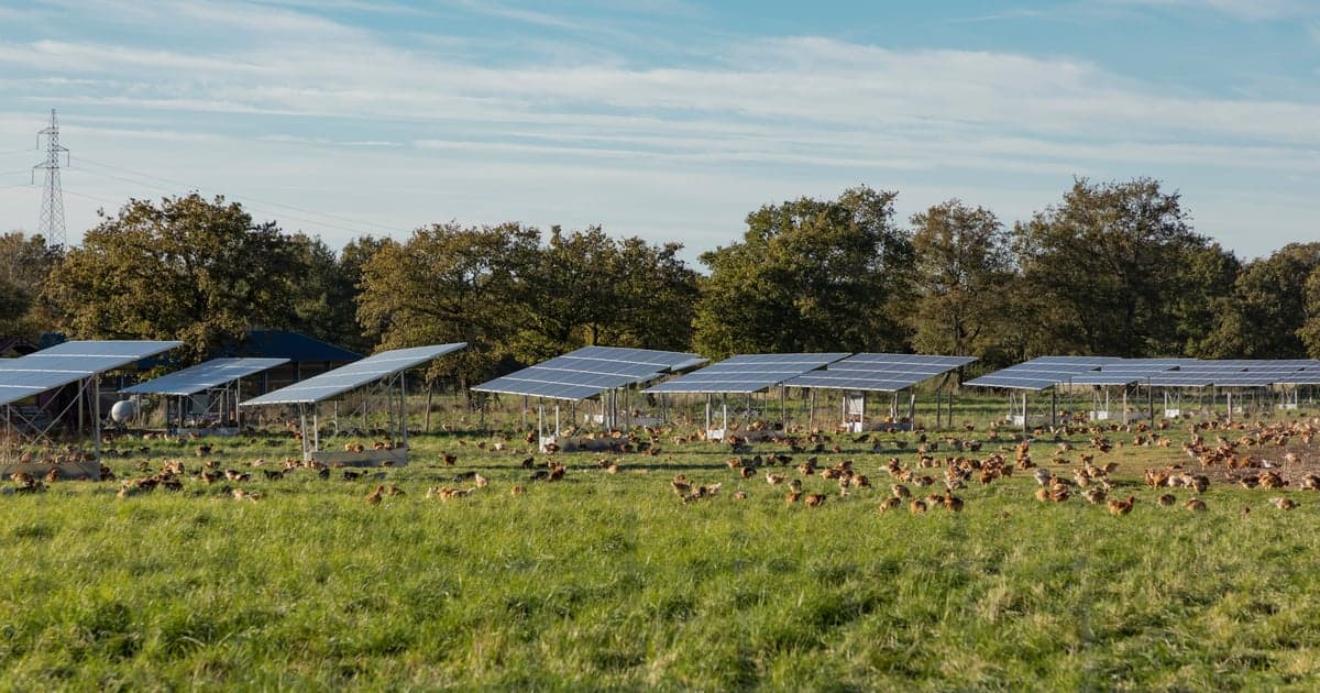 Utility-scale renewable energy is creating a new rural asset