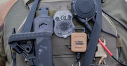 ICE-led Florida operation nets 500 — including illegal aliens ...