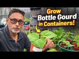 First Bottle Gourd Planting of 2026! Growing in a Bucket (Greenhouse Setup