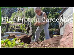 High Protien Vegetable Garden