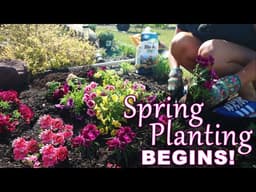 Spring Planting Begins in My Carolina Garden | Dianthus, Verbena and Colorful Annuals!!