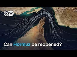 Can US allies reopen the Strait of Hormuz without military force, or US help? | DW News