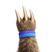 Pawvis