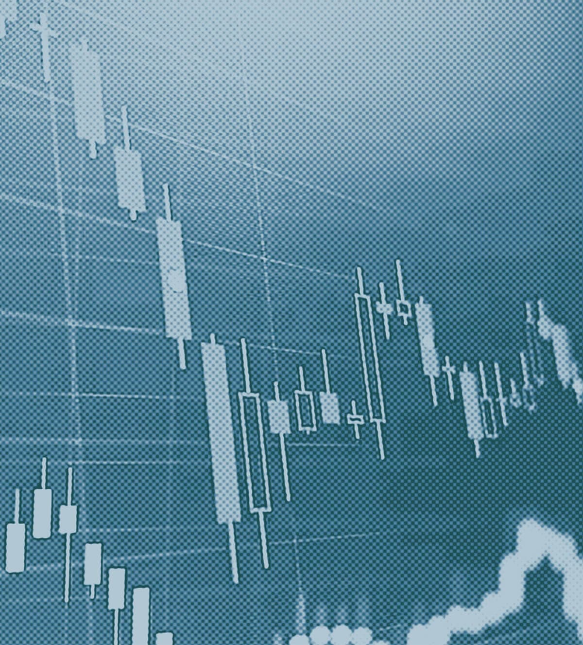 Palo Alto Networks Stock Doubles in 5 Years - Palo Alto Today