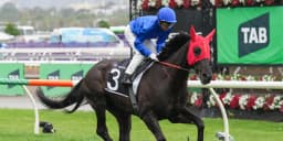 Baker bullish about Pericles the sprinter - Racing.com