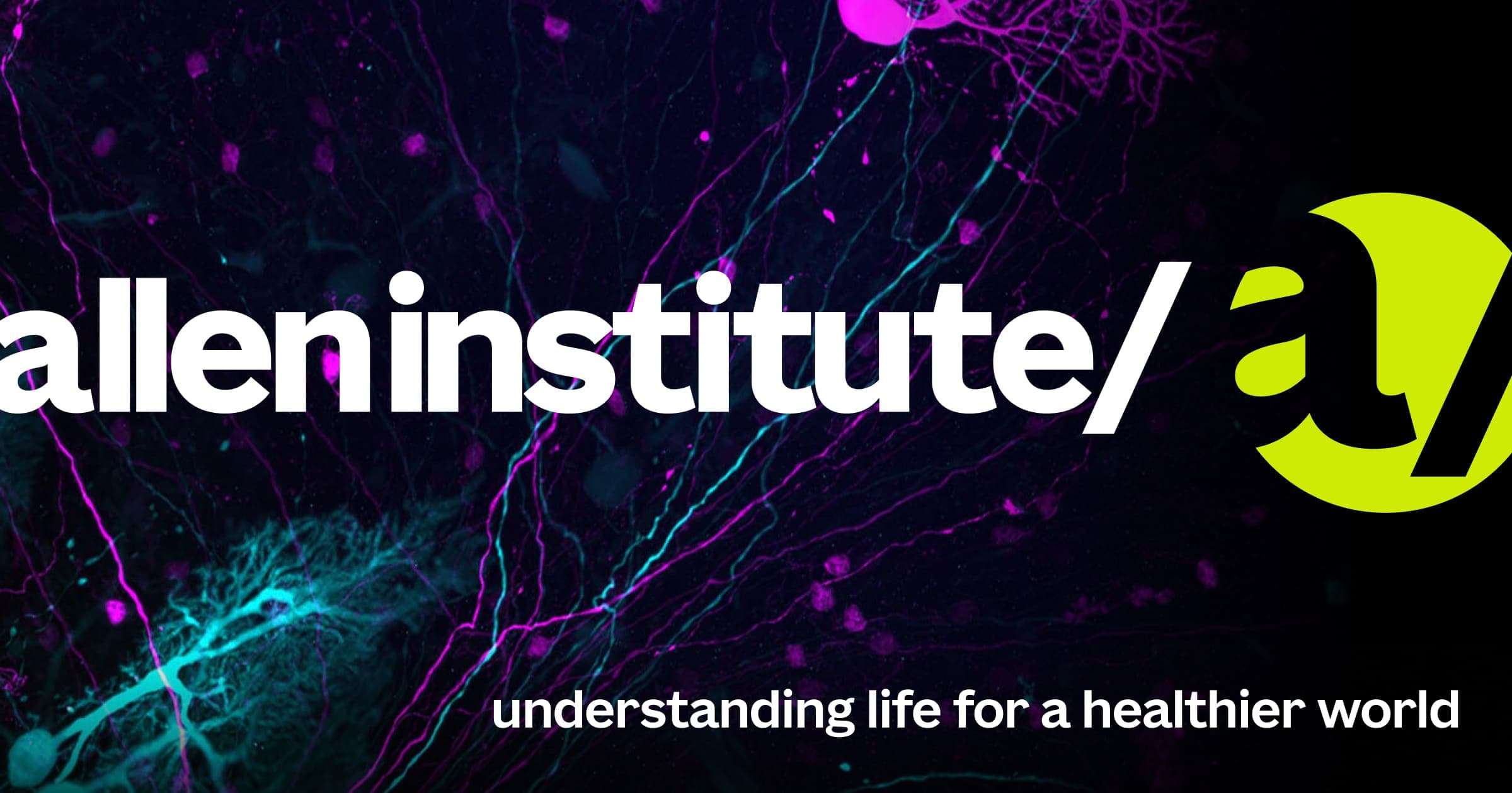 Open Science | Allen Institute