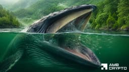 IOTA rockets 14% as whales accumulate – Perps back the move